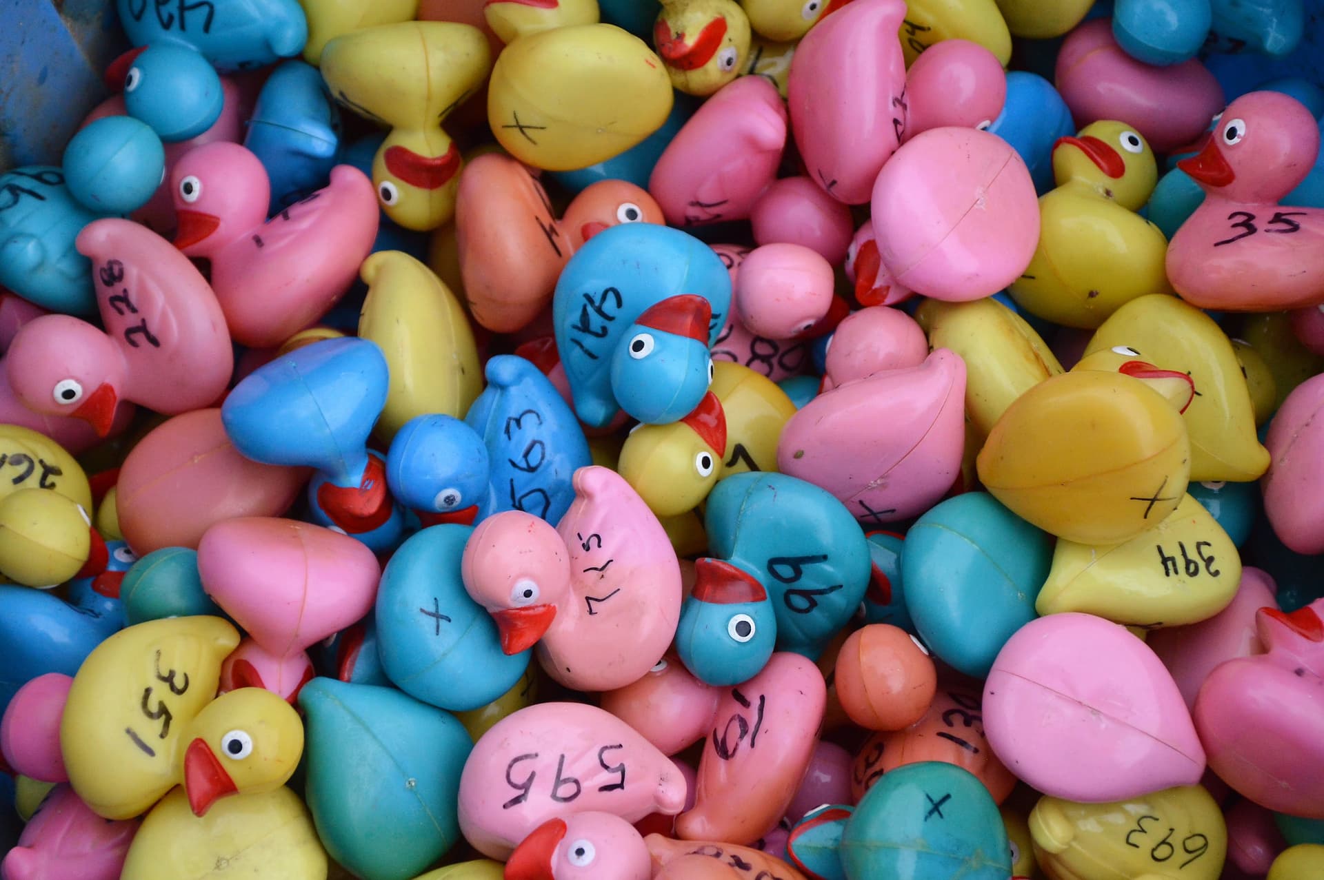 Sterling Rotary Club puts ducks on sale for annual race