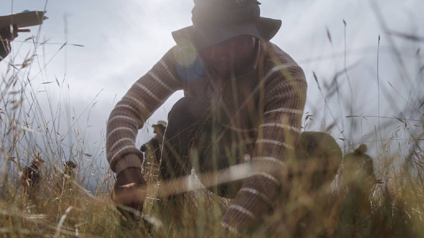 Bestseller Pledges $3 Million for South Africa Grassland Regeneration