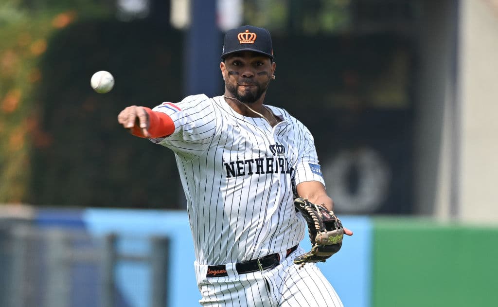 Buying Baseball Gear in the Netherlands: A Complete Equipment Guide