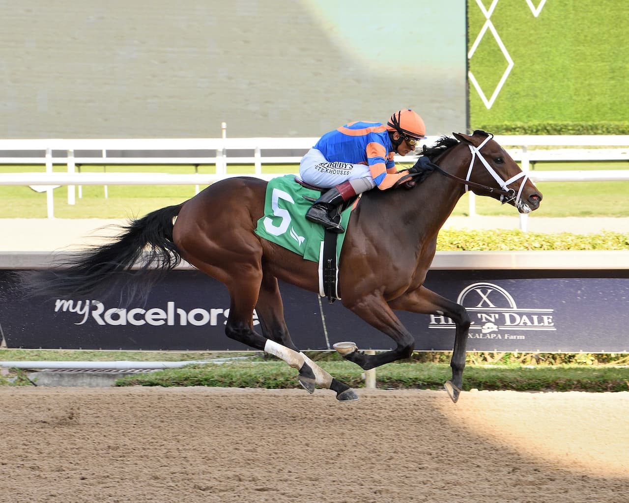 Nearly Dominates Holy Bull Stakes at Gulfstream, Earns 20 Kentucky Derby Points