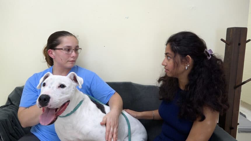 Humane Society of Atchison seeks help amid financial strain
