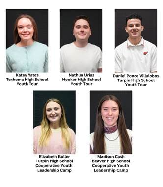 Three Local Juniors Earn Spots on Electric Cooperative Youth Tour