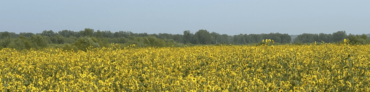 Benedictine Bottoms offers wildlife habitat, wetlands and river views near Atchison