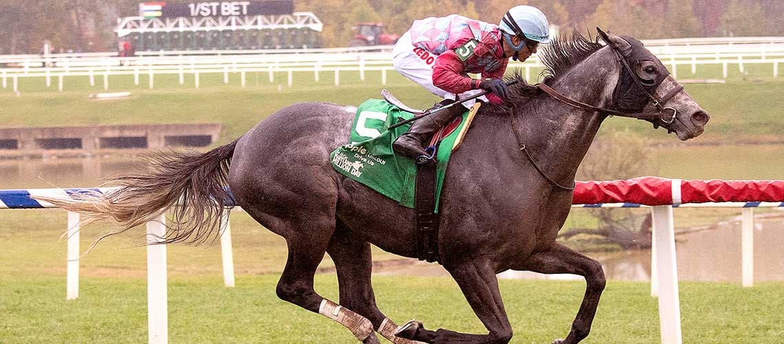Witty, Nothing Better headline deep Laurel Park turf sprint