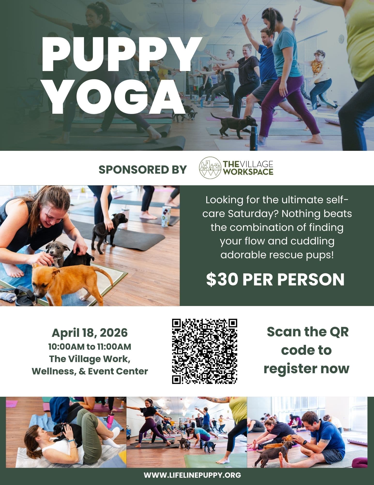 Lifeline Puppy Rescue turns yoga class into puppy adoption fundraiser