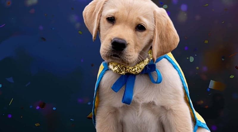 Farmingdale service dog Jared Scot Daler to be honored at gala