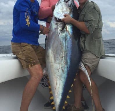 213‑Pound Yellowfin Landed Out of Venice Shows Bigger‑Bait Payoff
