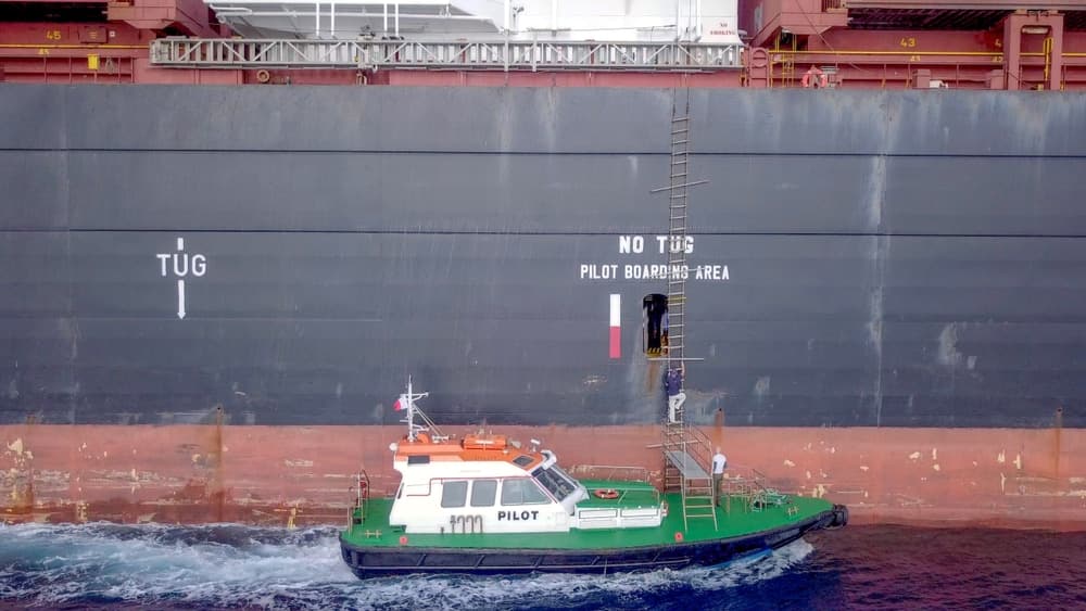 Pilot Rescued After Falling Into Seas While Boarding Emerald Princess; Call Canceled