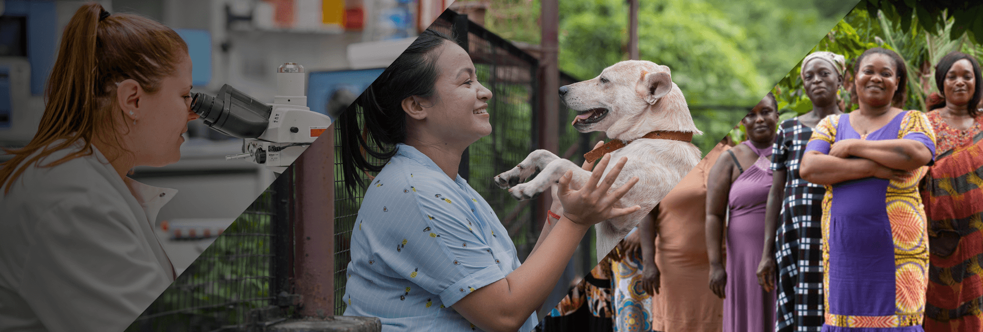 Mars Launches Mars Impact Fund to Improve Pet and Community Health