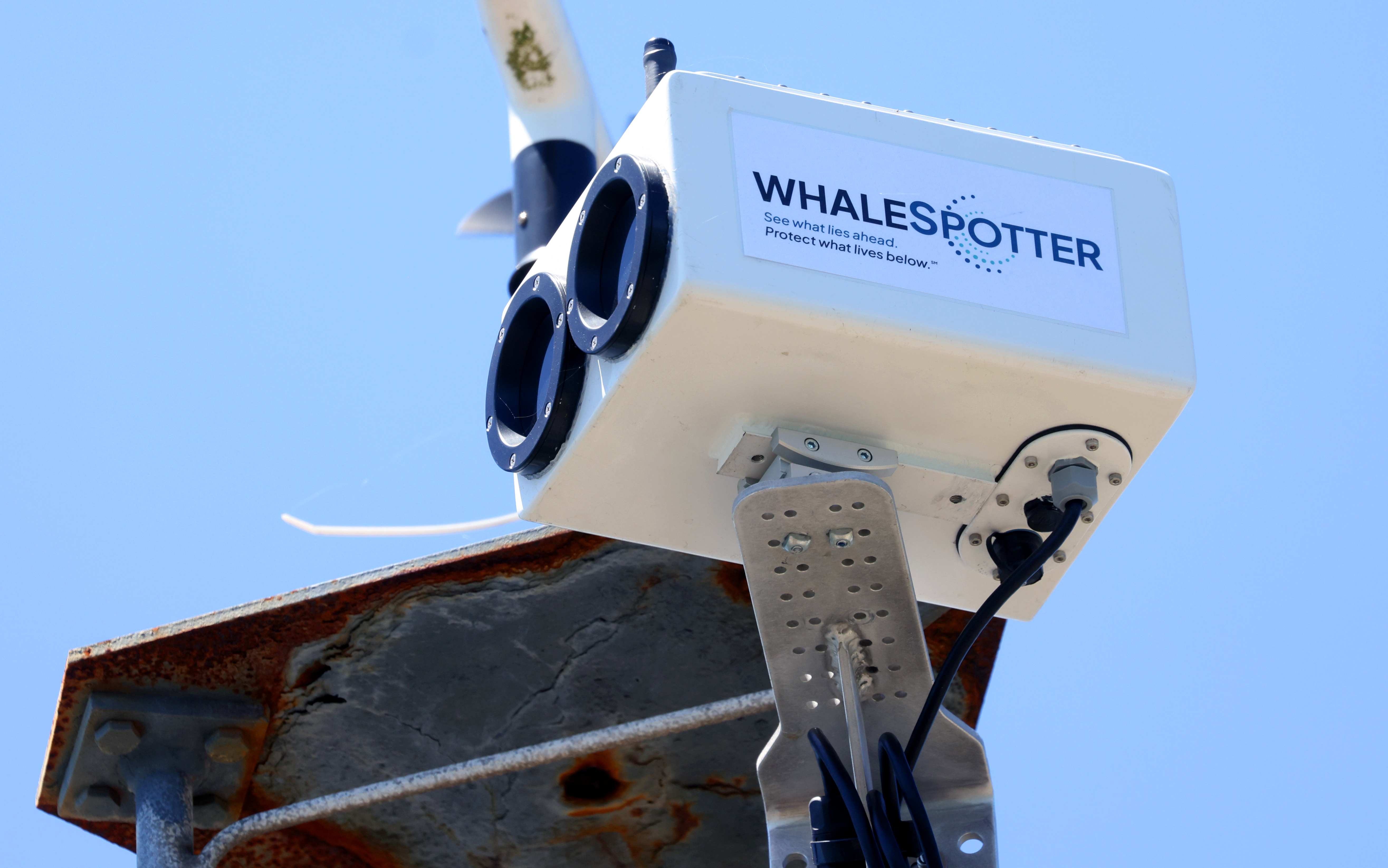 WhaleSpotter system aims to prevent ship strikes in San Francisco Bay