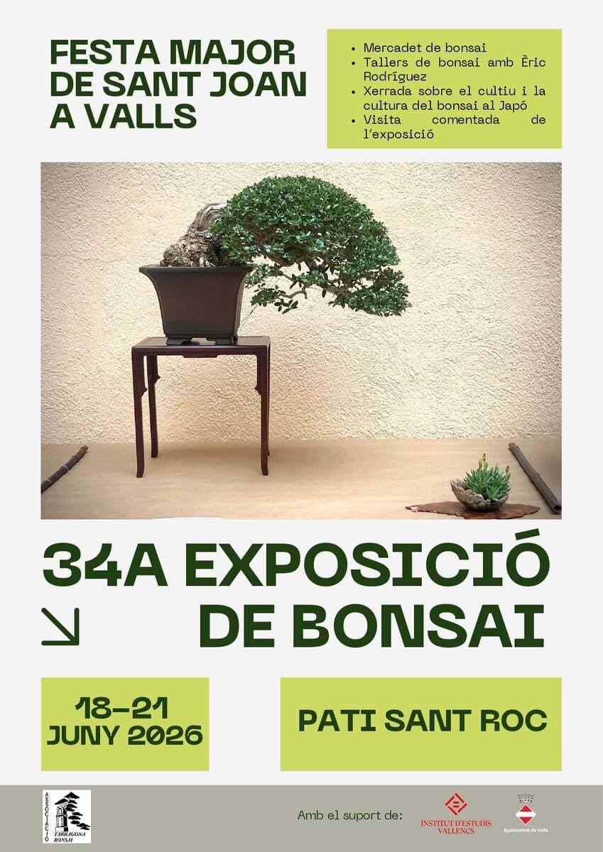 Valls bonsai exhibition returns with market, workshops and talks