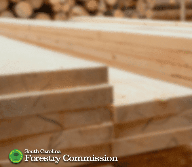 Hampton Lumber to Open $225 Million Sawmill in Fairfax