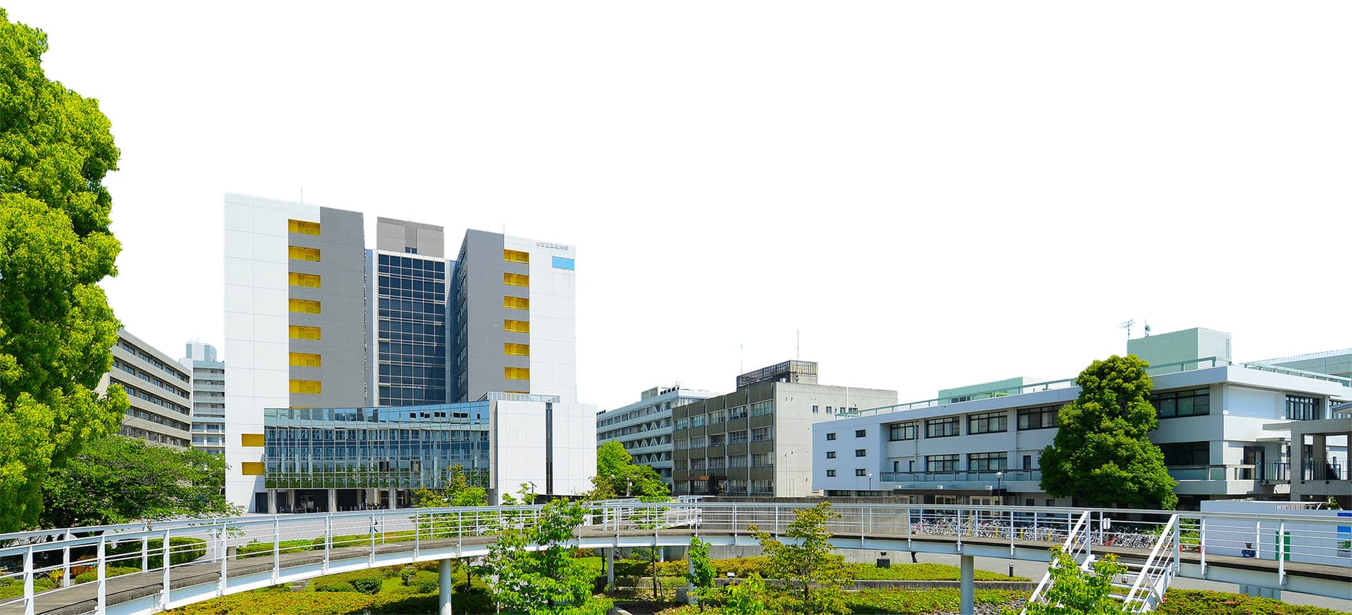 Nagoya team designs light-switch molecules to control cell signaling, genes