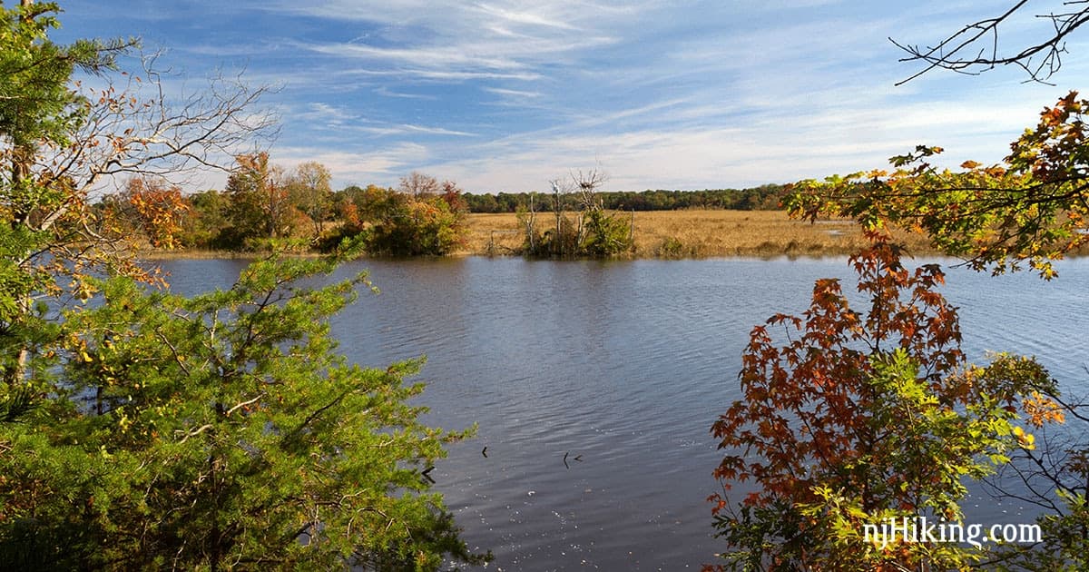 Maurice River Bluffs Preserve offers trails, birds and river views