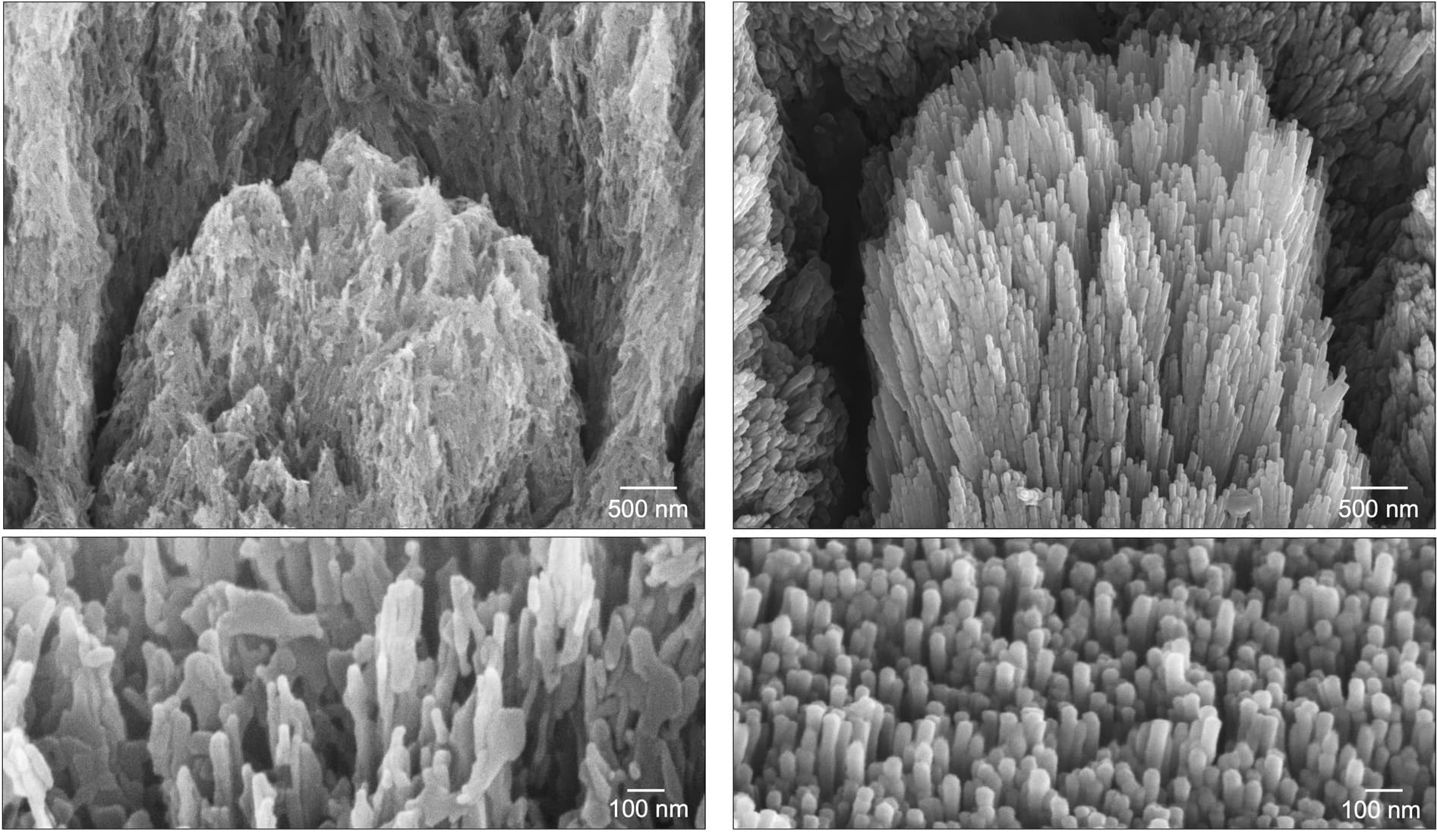 Nottingham scientists develop gel that regrows tooth enamel within weeks
