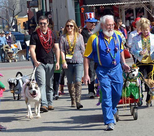 Krewe of Barkus Dog Parade Returns to Downtown McKinney Feb. 15