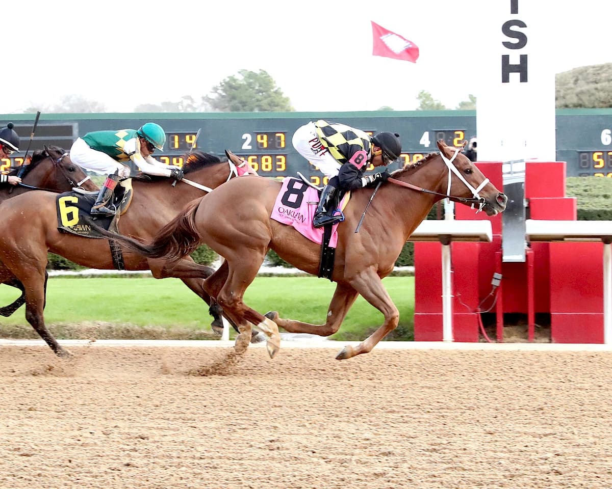 Touchdown Arkansas Rallies to Win Nodouble Breeders' Stakes at Oaklawn