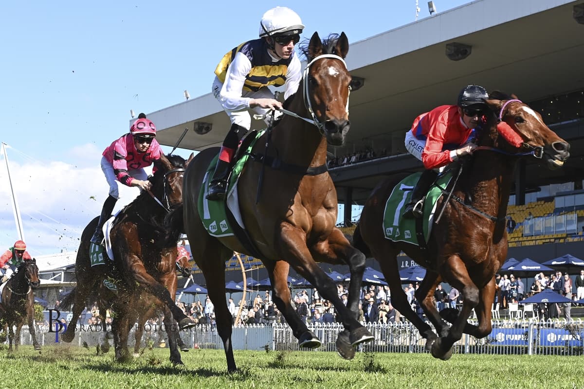 De Armas Sold to OTI Racing, Heads to Waller's Sydney Stable Sunday