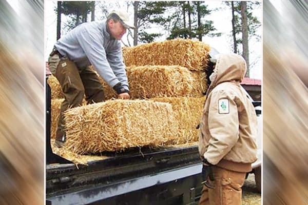 Illinois DNR Opens Agriculture Leases, Sparking Equity and Health Concerns