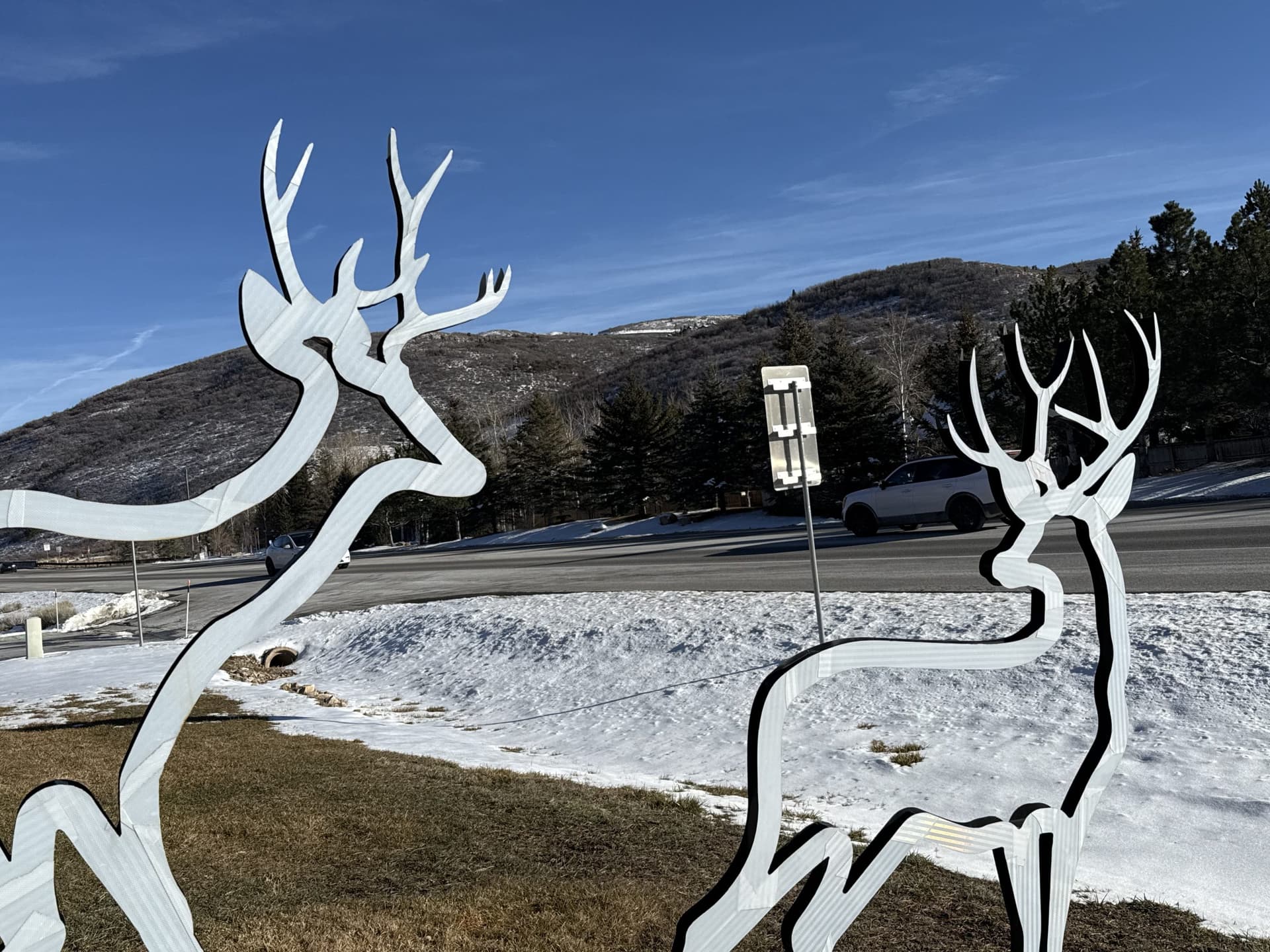 Wildlife sightings raise collision concerns along Park City roads