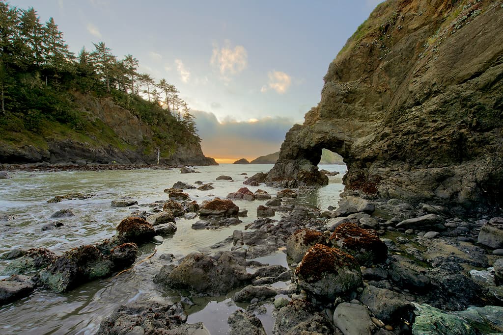 Best tidepool spots, access, facilities and safety tips at Trinidad State Beach