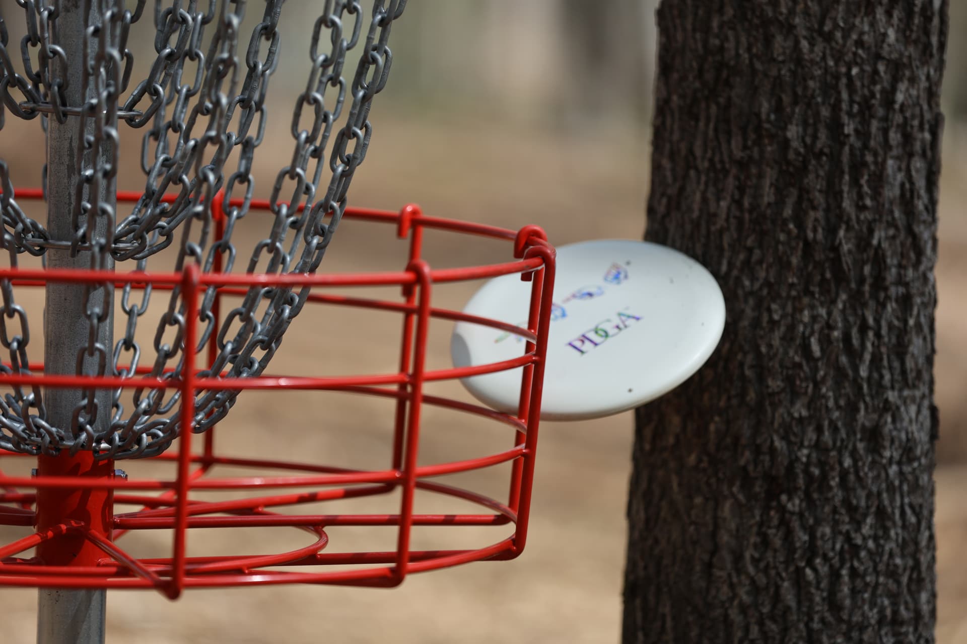 PDGA clarifies basket holed-out rule with new photo examples