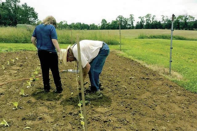 Adams County remembers tobacco farming’s role in family life and economy