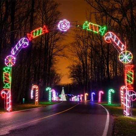 Festival of Lights Brightens Watkins Regional Park Through New Year