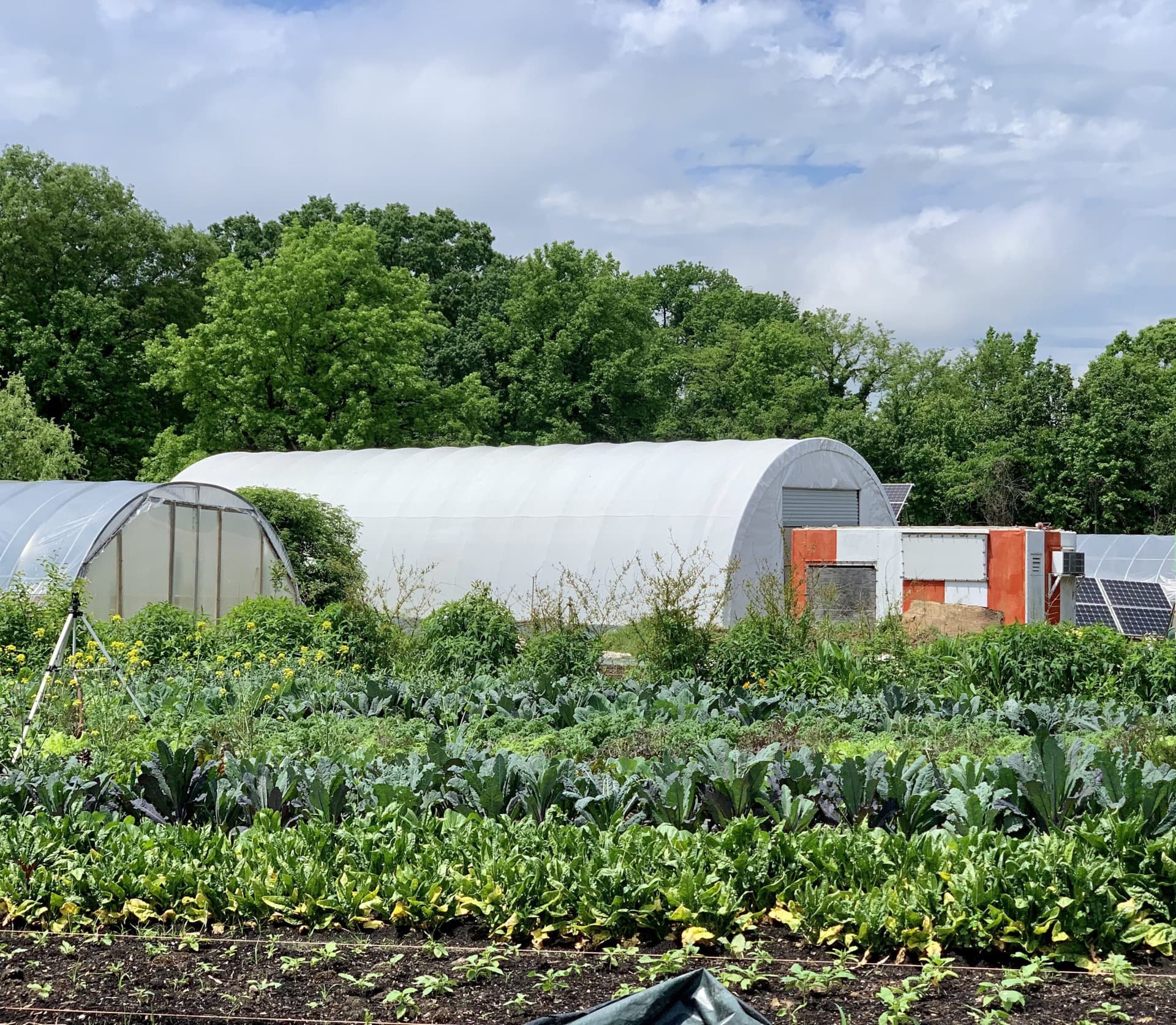 Prince George's County farm incubator grows fresh food and new farmers