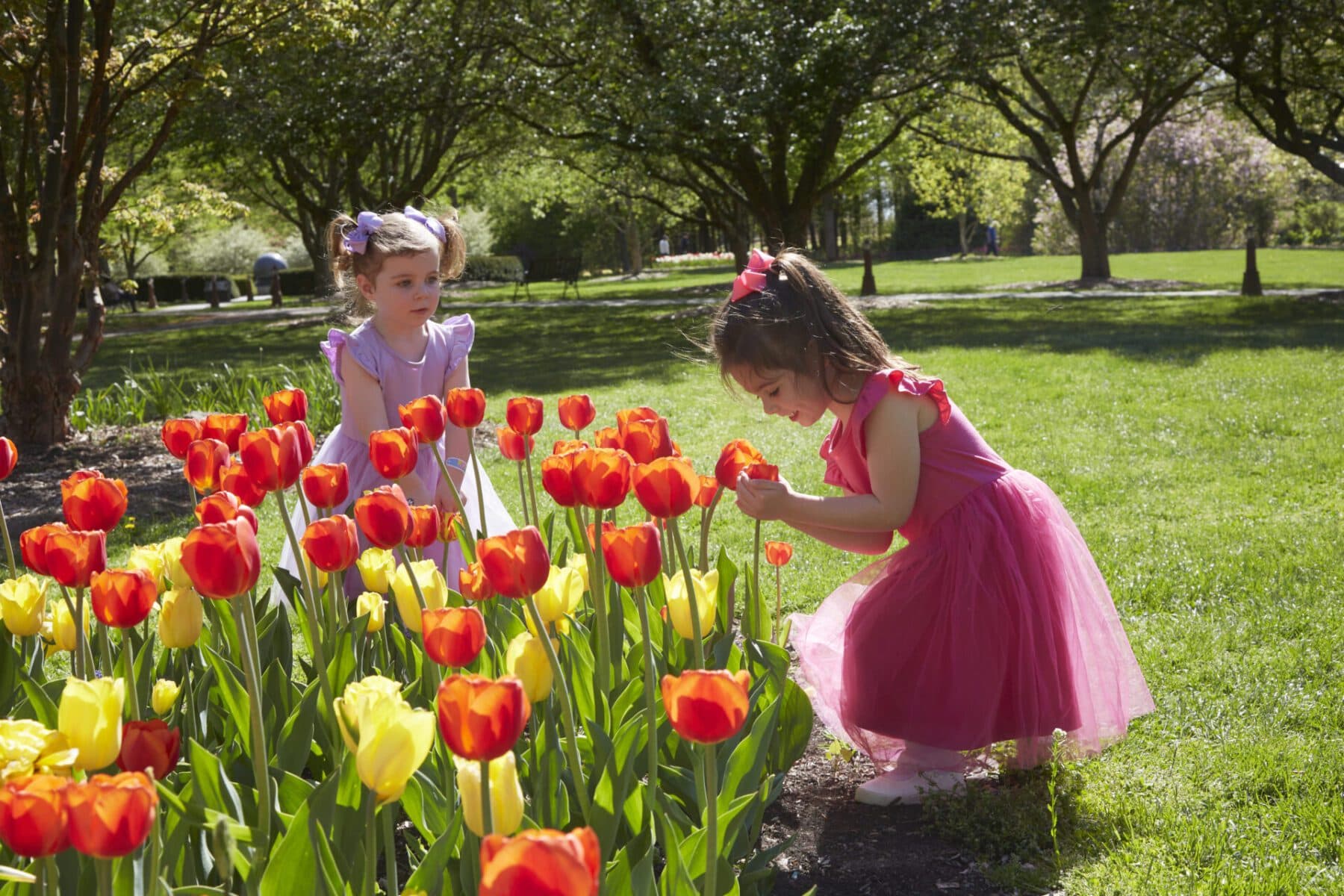 Orange County Spring Guide: LEGOLAND Reopens, Seasonal Events Return