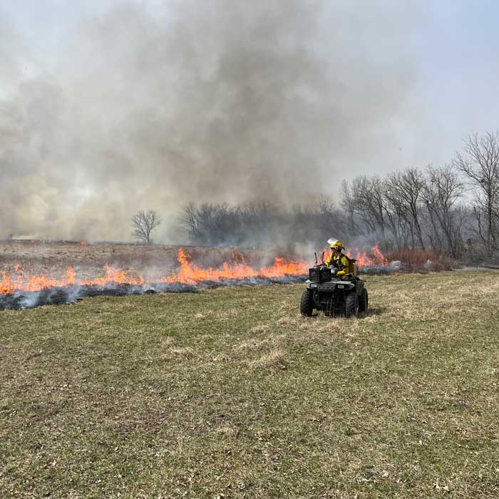 Frisco prescribed burn restores Blackland Prairie, reduces wildfire risk