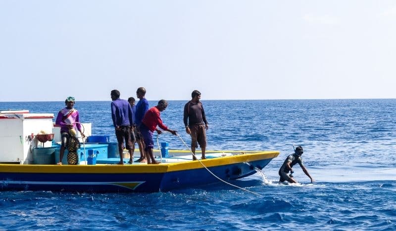 Maldives Expands Subsidised Diesel Program to Yellowfin Tuna Fishing Boats