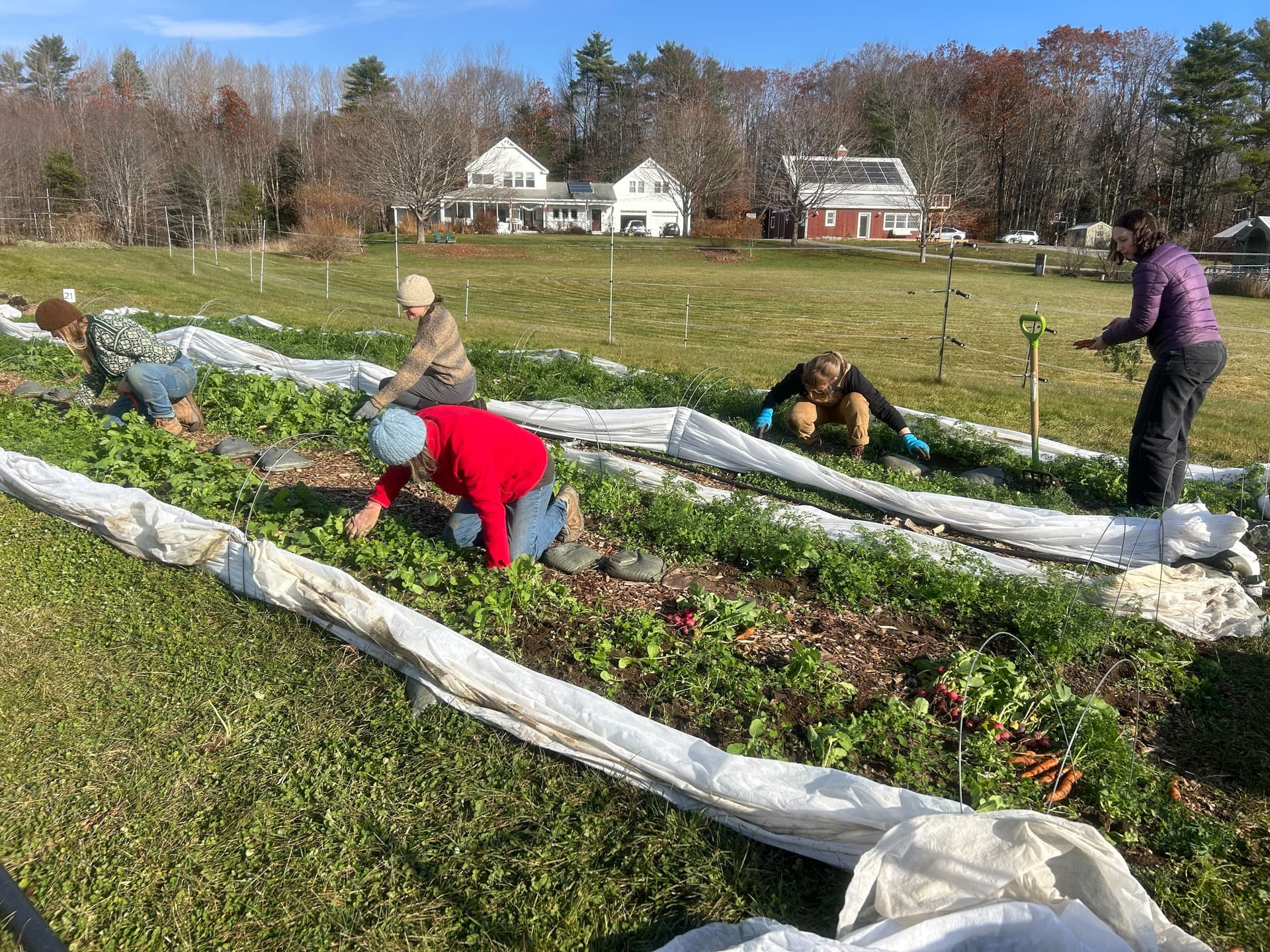Midcoast Earth Day events offer family fun, volunteer options, climate action