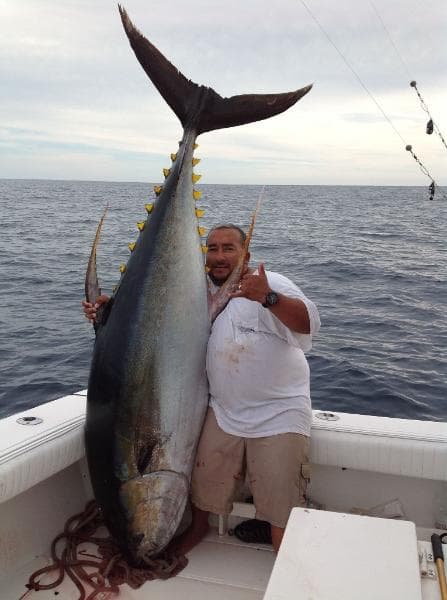 Warm waters spark massive yellowfin tuna action off Puerto Vallarta