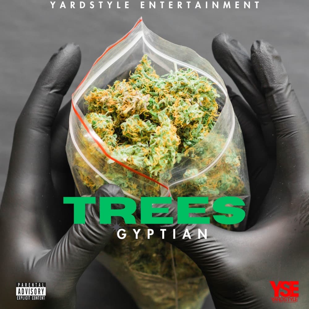 Gyptian Drops Trees as Digital Single Built for DJs and Streaming