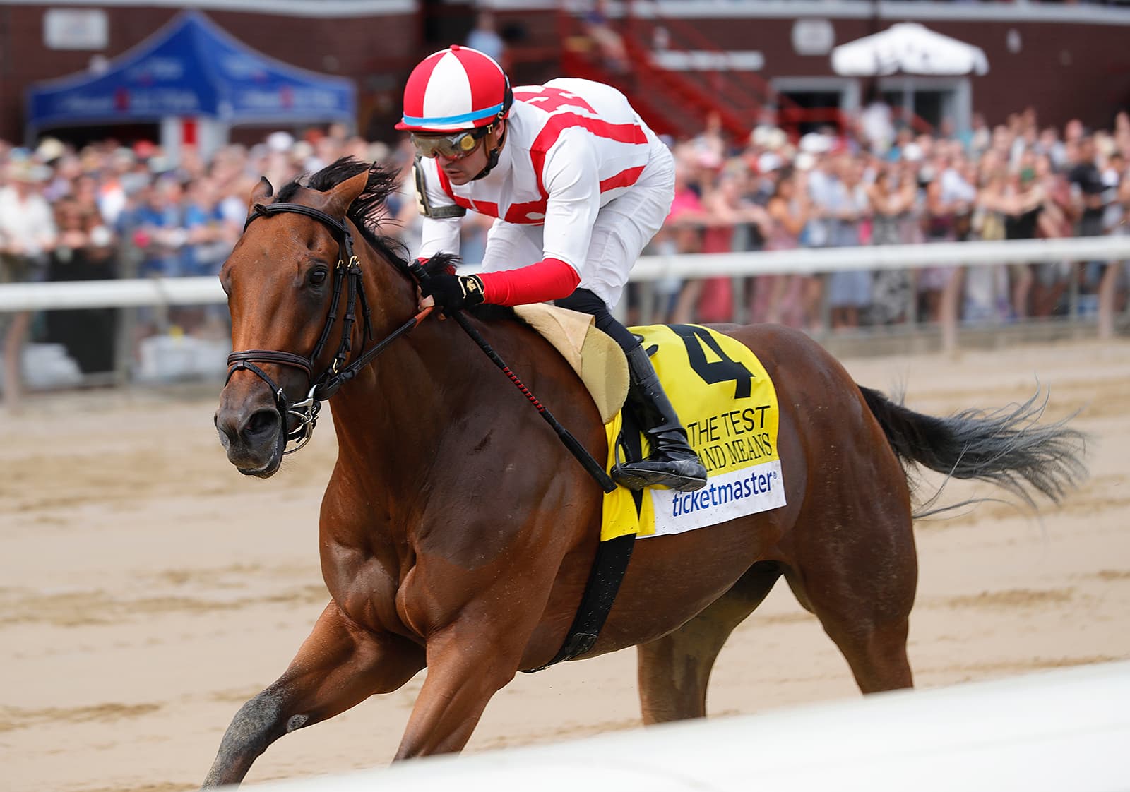 Ways and Means returns to Saratoga to defend Bed o' Roses crown