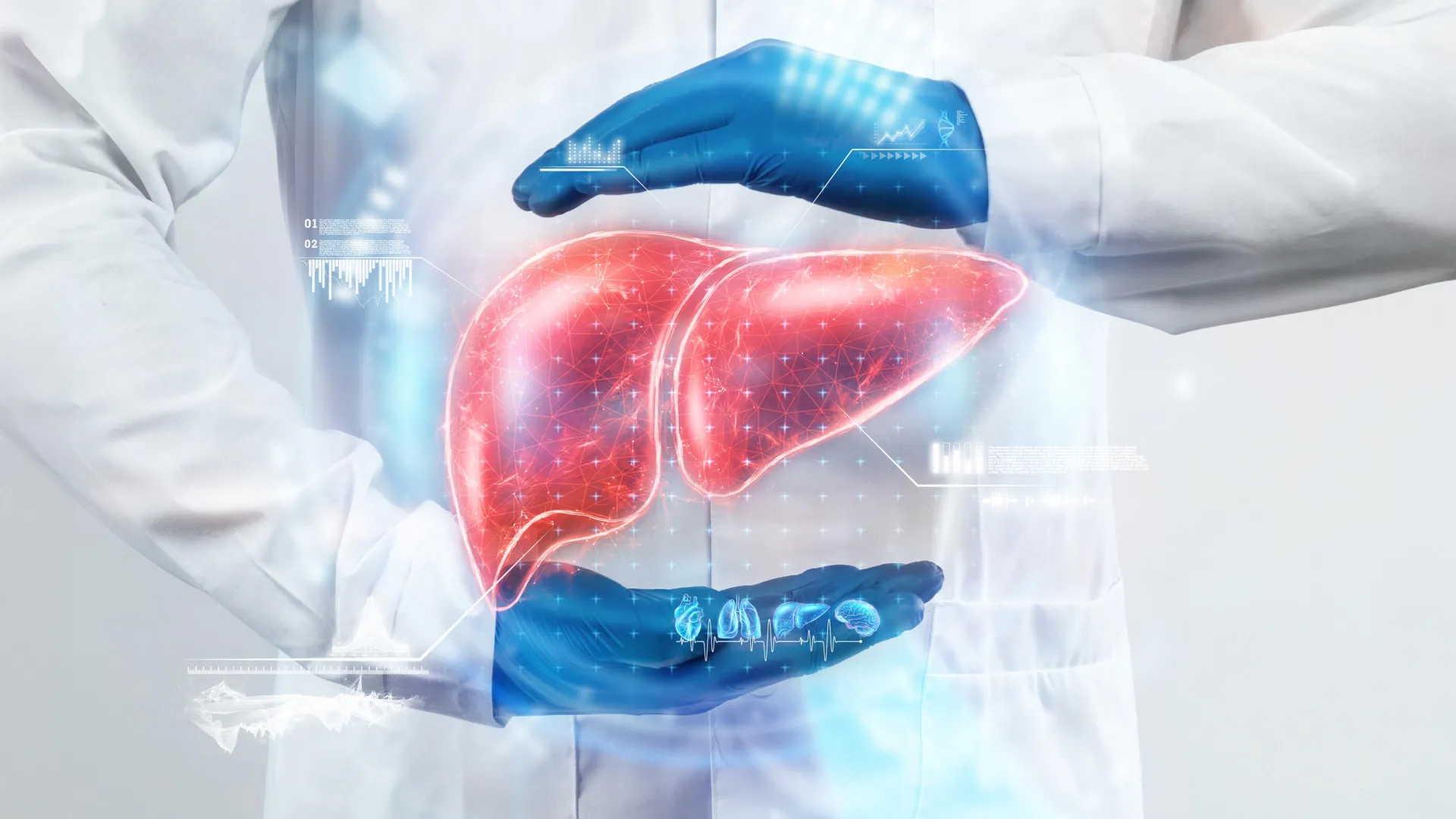 University of Barcelona study finds drug combo cuts liver fat in animal models