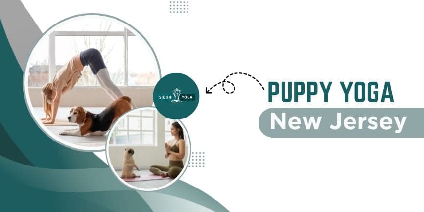 Jersey City puppy yoga keeps growing with beginner-friendly classes