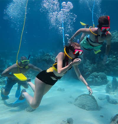 Top 10 Ways to Experience Key West, Marathon, Islamorada and Key Largo