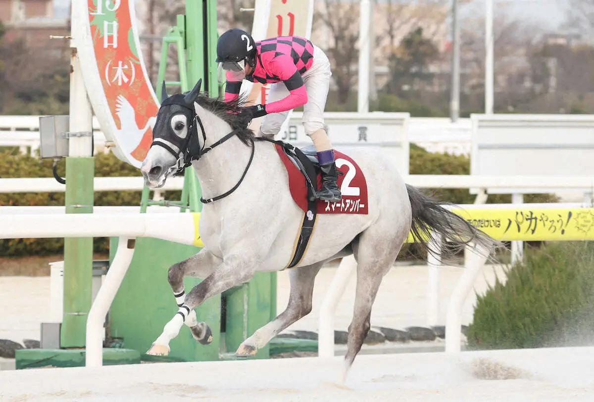 Smart Amber Cruises to Five-Length Kounotori Sho Win, Nagashima's First
