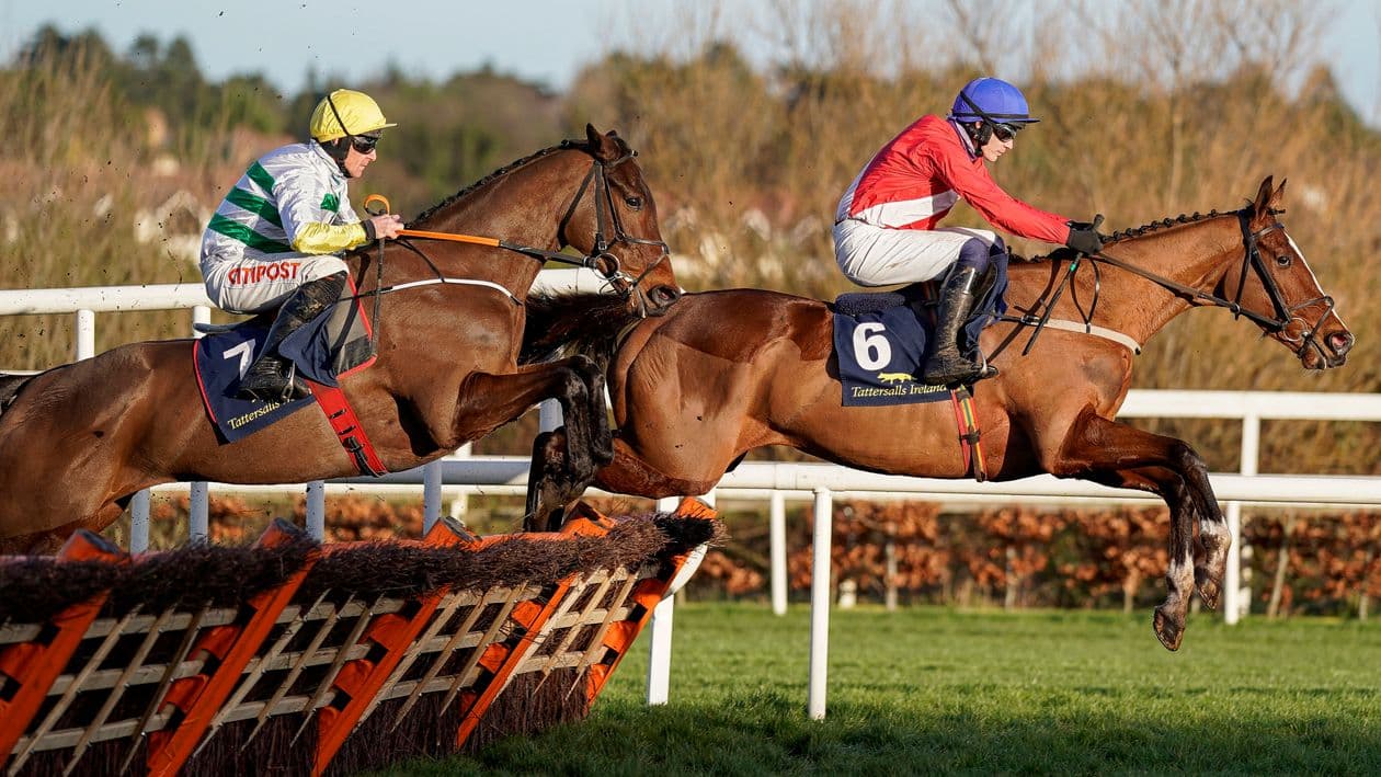 Willie Mullins secures Leopardstown Grade 1 double with Doctor Steinberg, Narciso Has