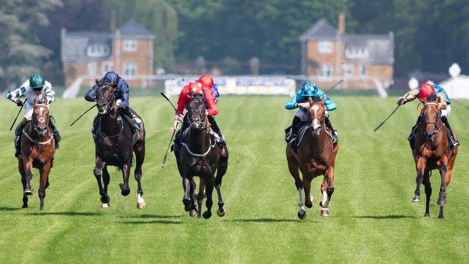 Crownbreaker and Efsixteen headline pricey Newmarket juvenile clash