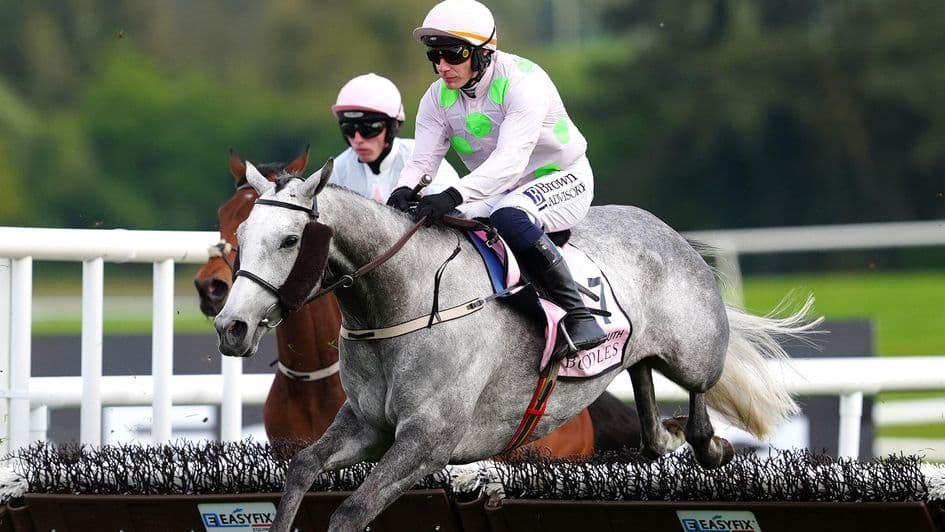 Lossiemouth caps dominant season with fourth straight Punchestown hurdle win