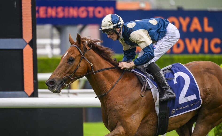 Jimmysstar seeks luck in running in Doomben 10,000 bid