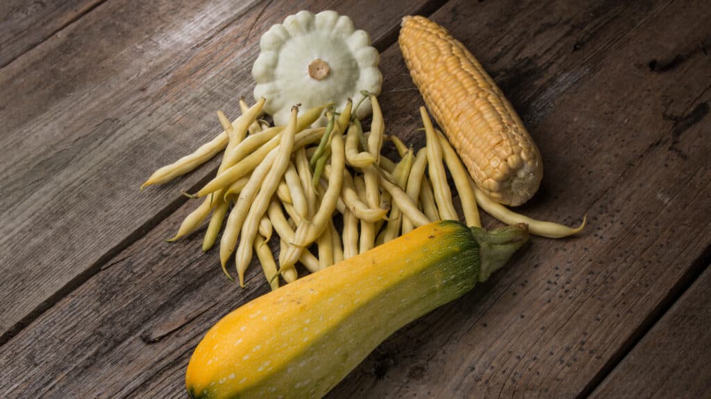 Navajo Nation Turns to Ancestral Foods to Fight Rising Diabetes Rates