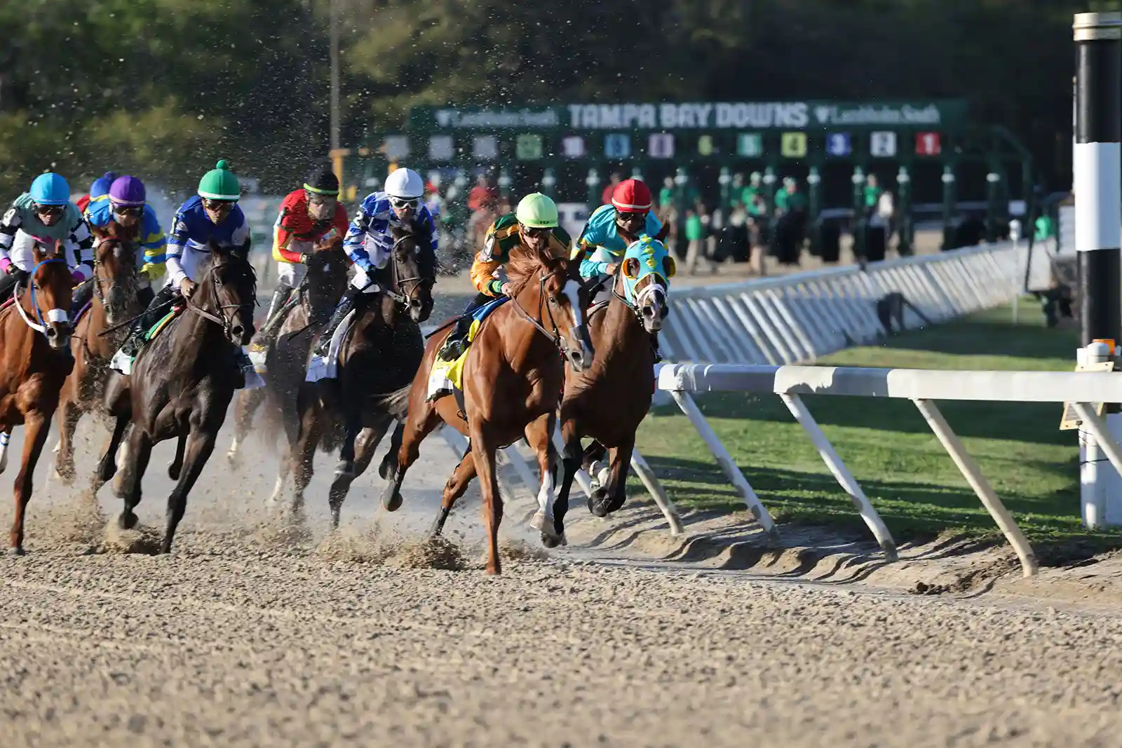 Tampa Bay Downs Kicks Off 100th Season with Free Season Pass Giveaway