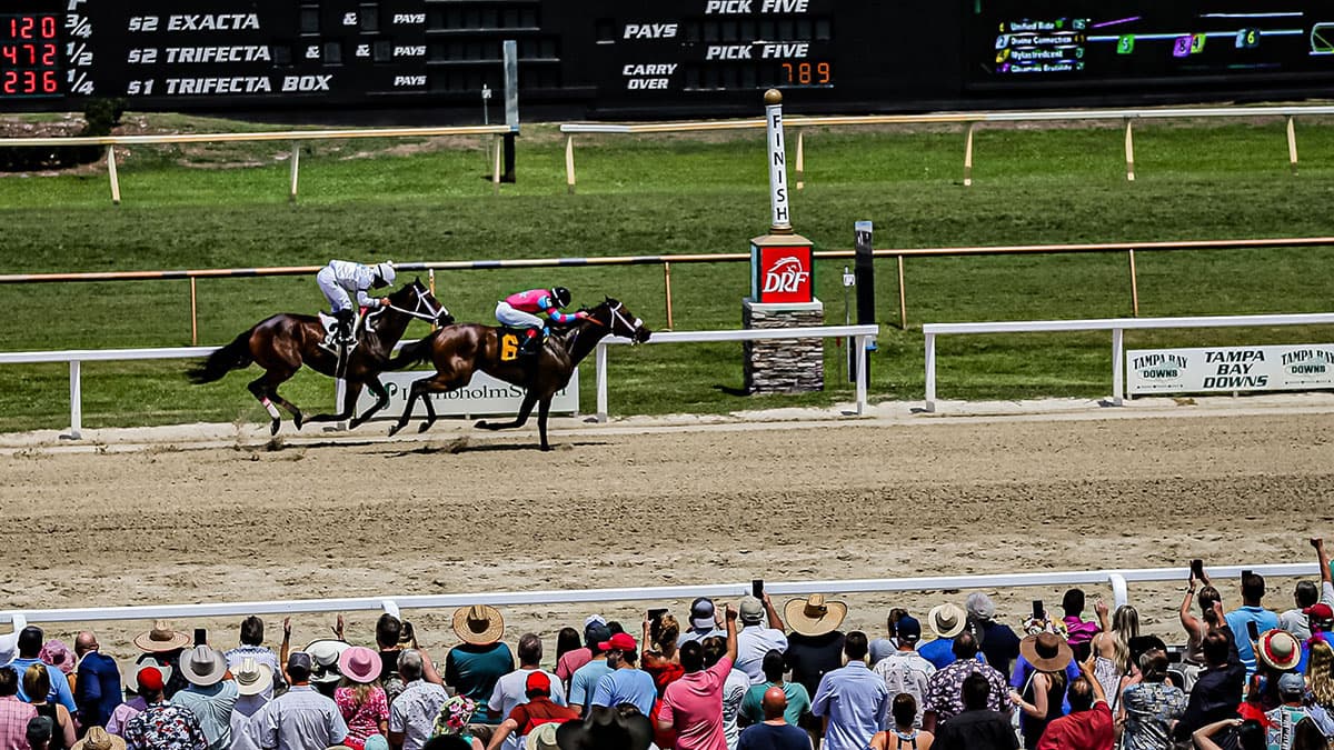 Concrete Glory Upsets Pelican Stakes at Tampa Bay Downs