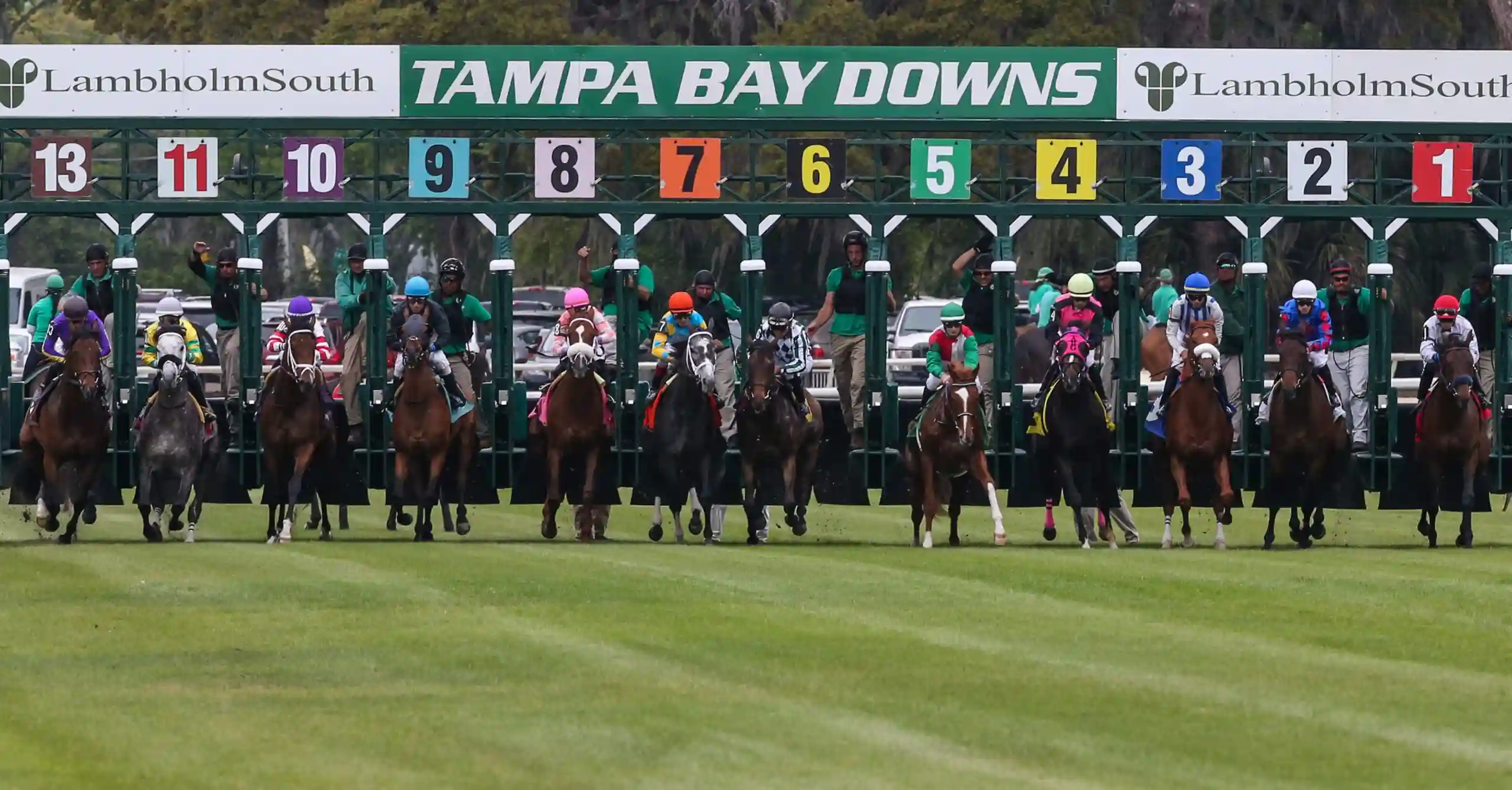 Quatrocento Cruises Gate-to-Wire in Dominant Grade III Tampa Bay Stakes Win