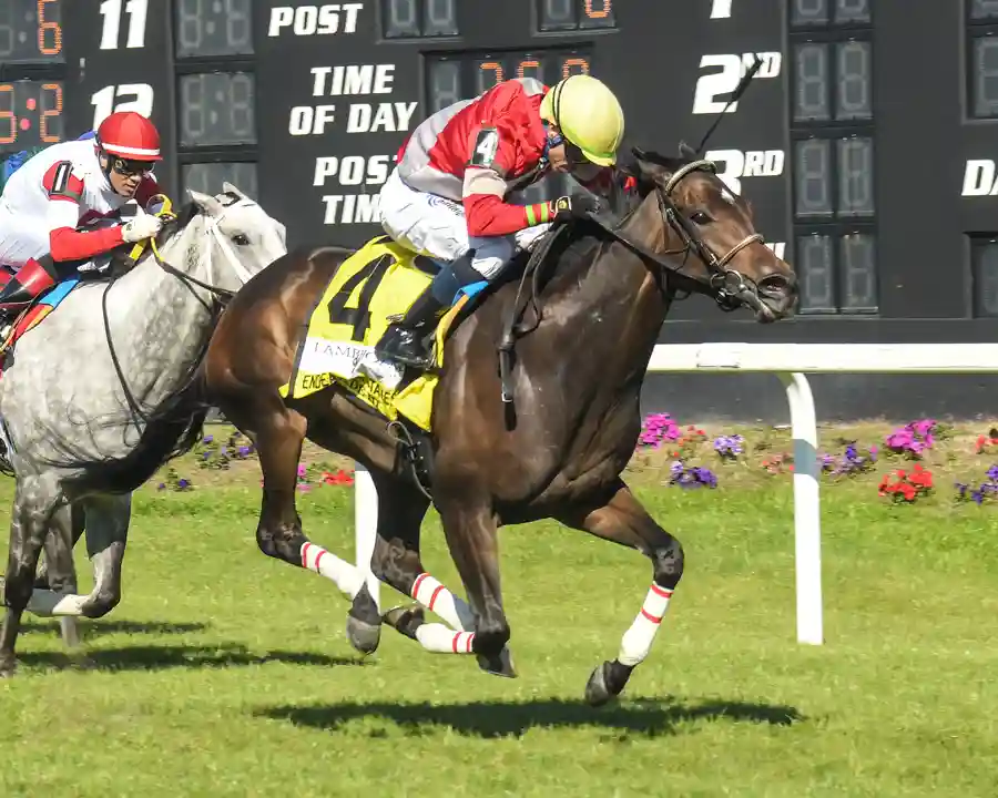 Aussie Girl Surges to Grade III Endeavour Stakes Win at Tampa Bay