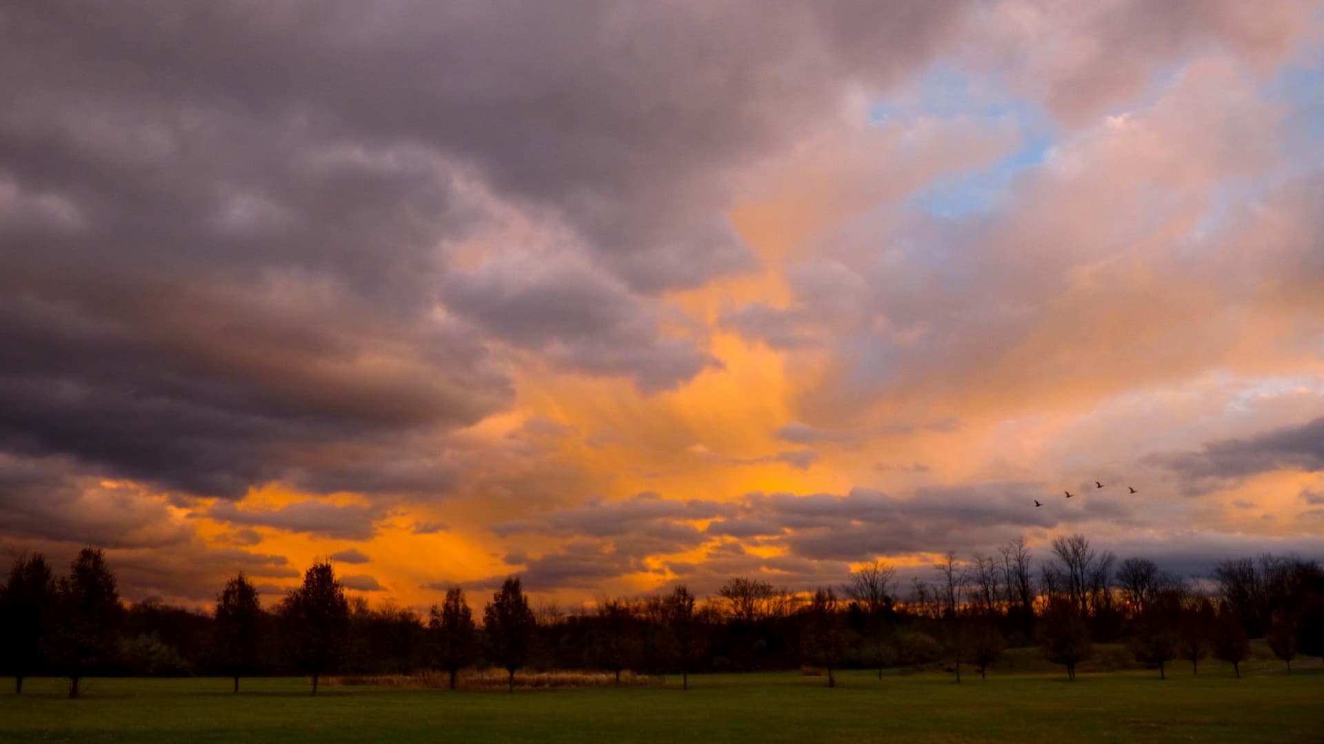 Tara Brach posts 20-minute Vipassana practice Opening Our Hearts to Life